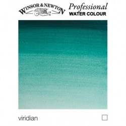 Infodepa - Winsor & Newton Acquarelli 1/2 Godet Verde Intenso (Verde Ftal