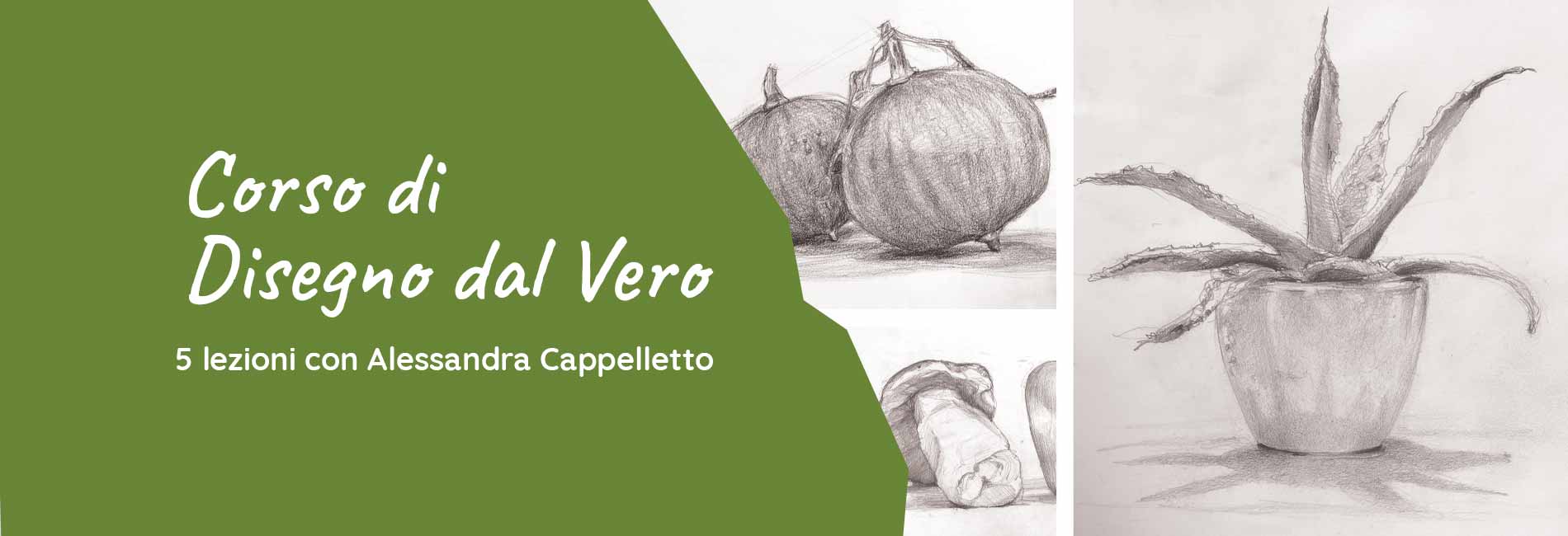 Corso di Disegno dal Vero